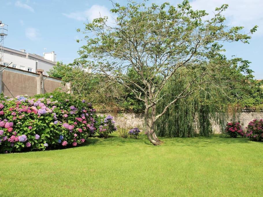 Precioso Apartamento Wifi, Aparcamiento, Piscina En Llanes Exteriör bild